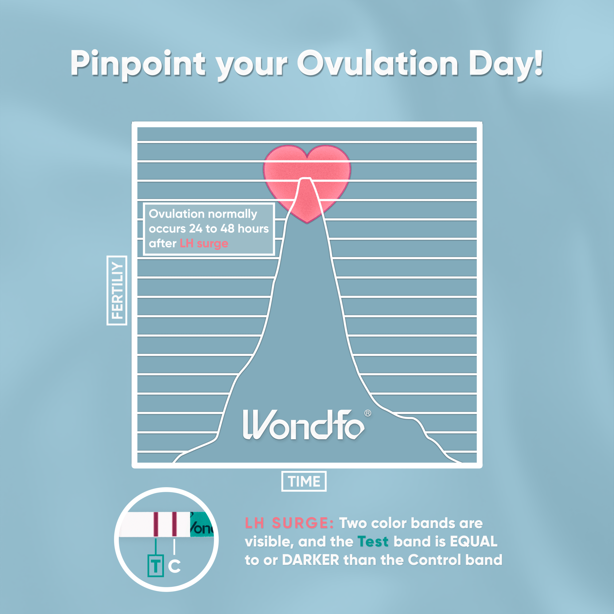 Prime Screen - Wondfo LH Ovulation Strips Rapid Test Detection for Home Self-Checking - Reliable Ovulation Predictor Kit - W2-S